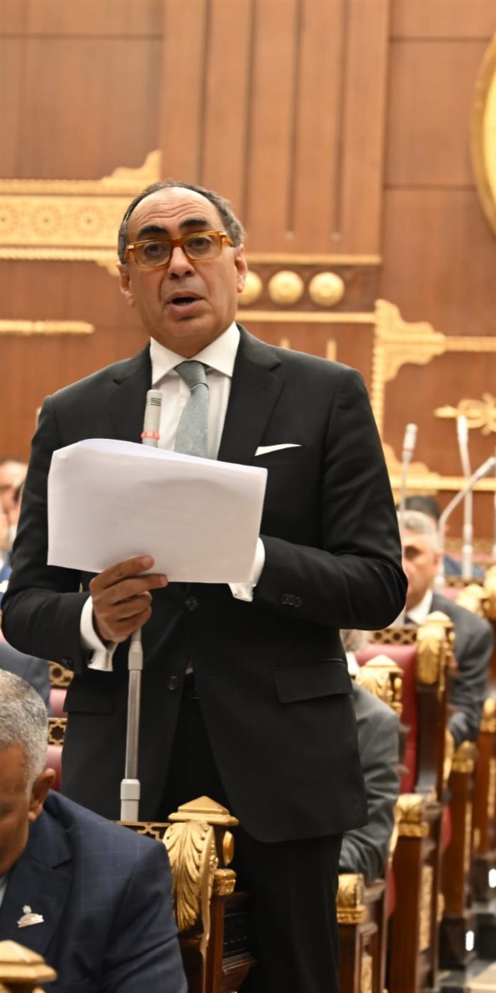 النائب هاني سري الدين أمام جلسة الشيوخ