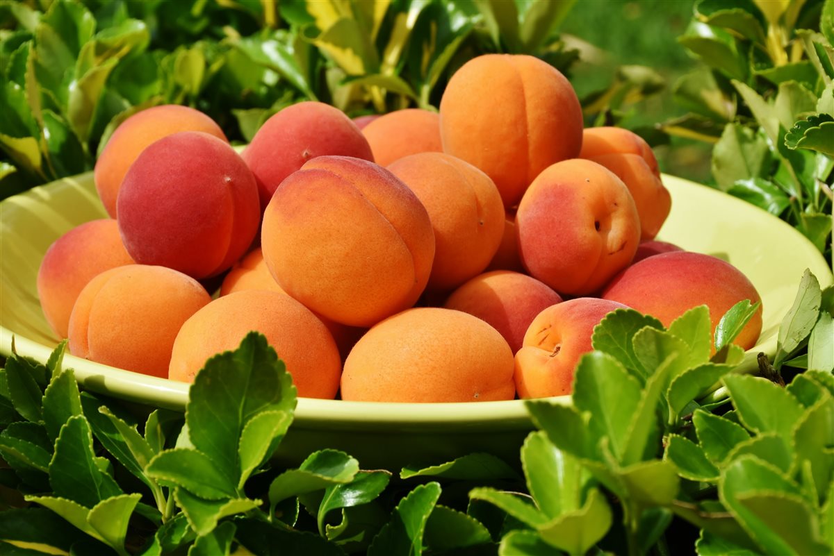 <strong>اسعار الفاكهة اليوم</strong>