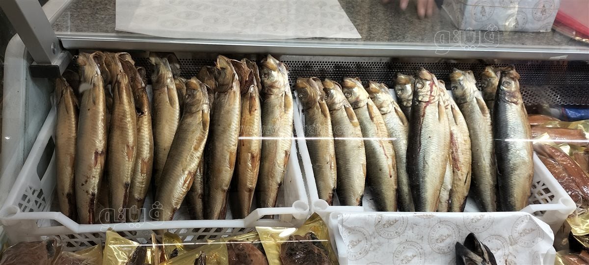 سعر الرنجة اليوم