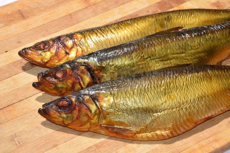 سعر الرنجة اليوم