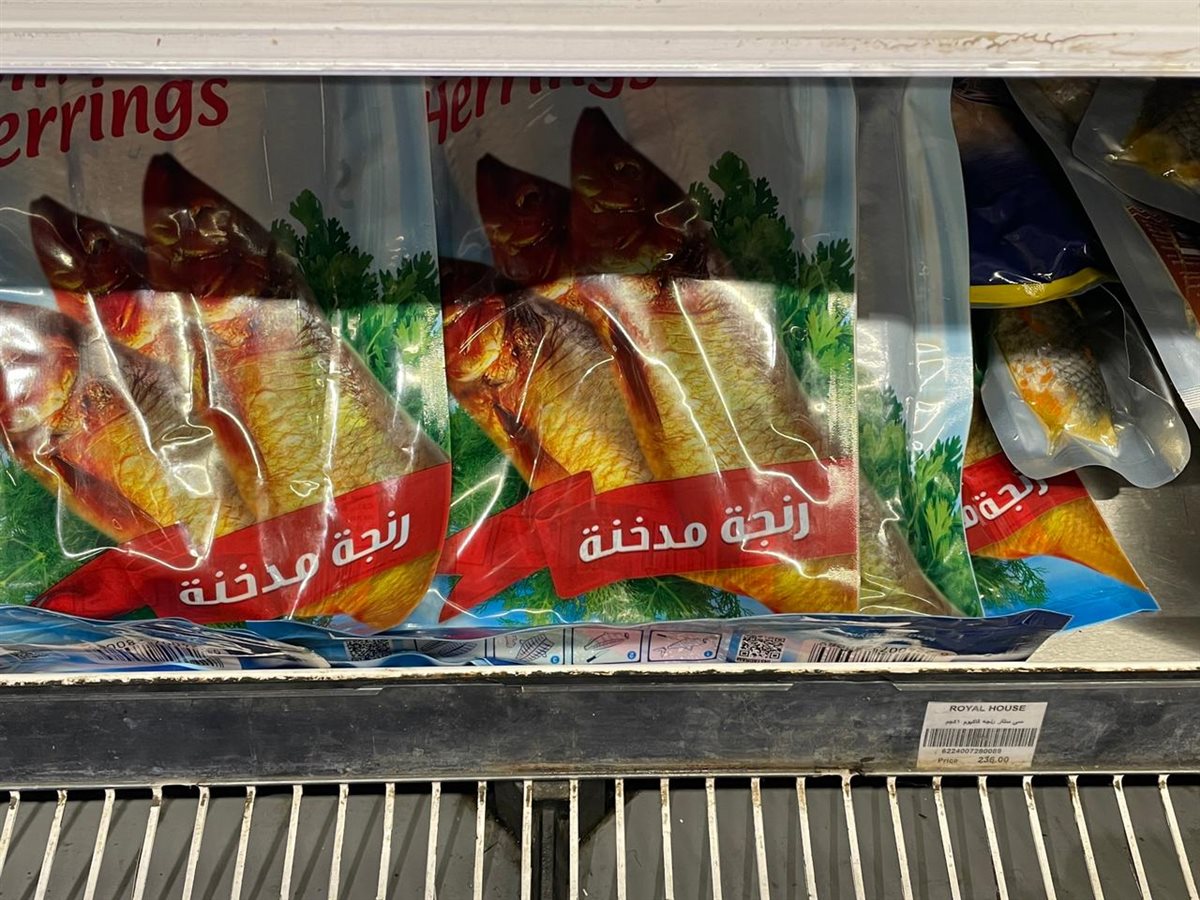 سعر الرنجة اليوم