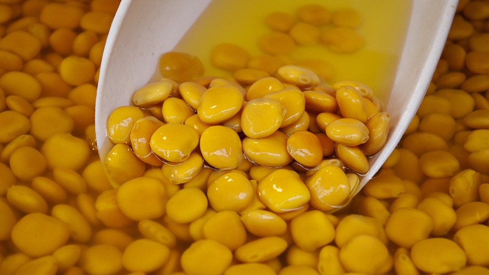 أضرار الترمس