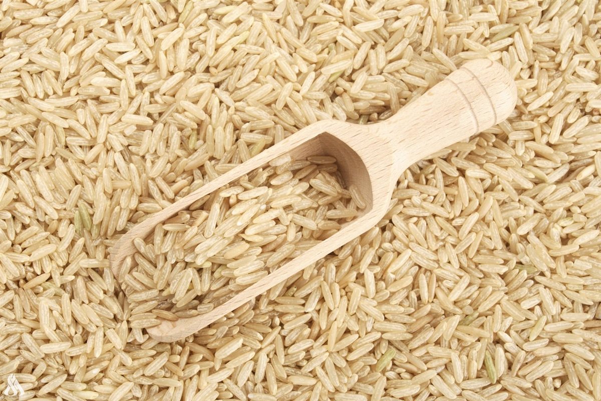 سعر الارز