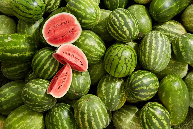 سعر الفاكهة
