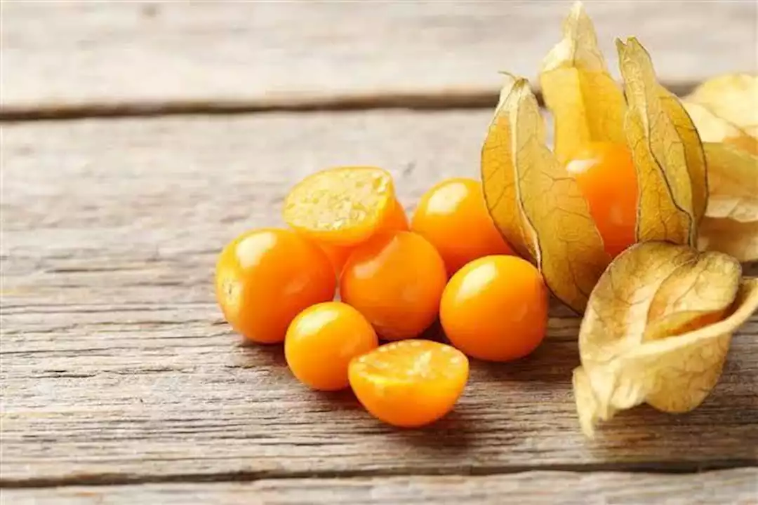 أضرار الحرنكش&nbsp;