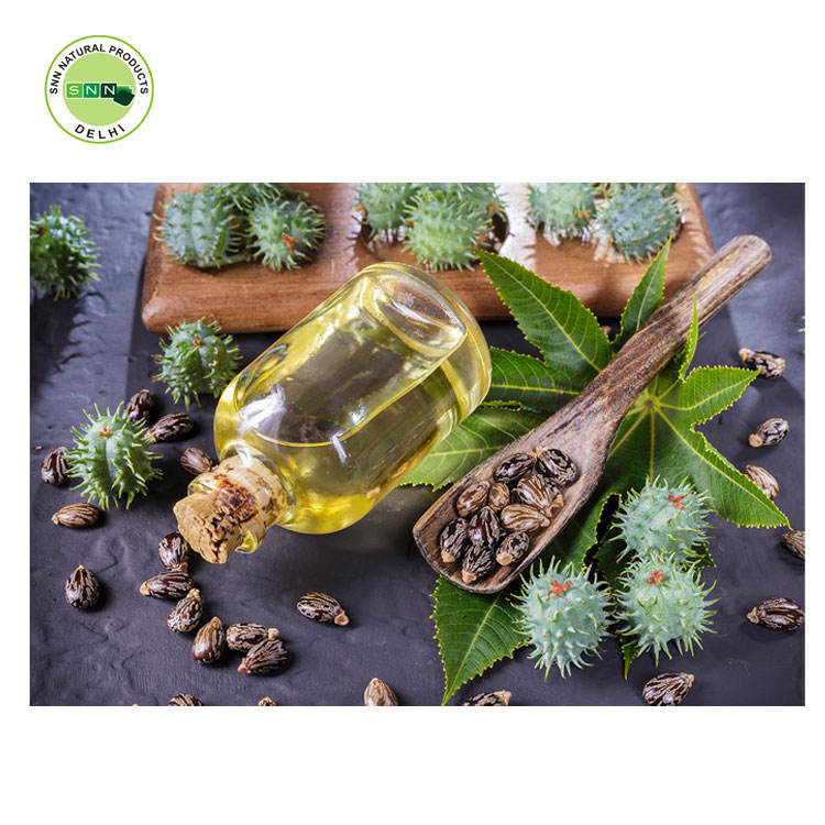زيت الخروع للشعر