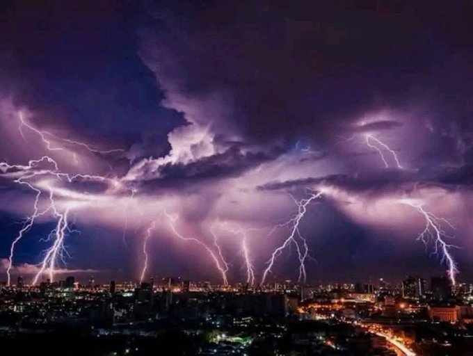 سر العاصفة الشديدة في الإسكندرية، فيتو