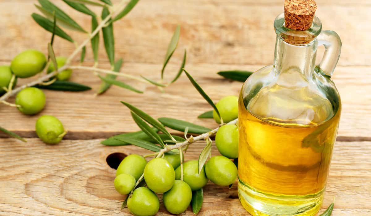 فوائد زيت الزيتون للشعر&nbsp;