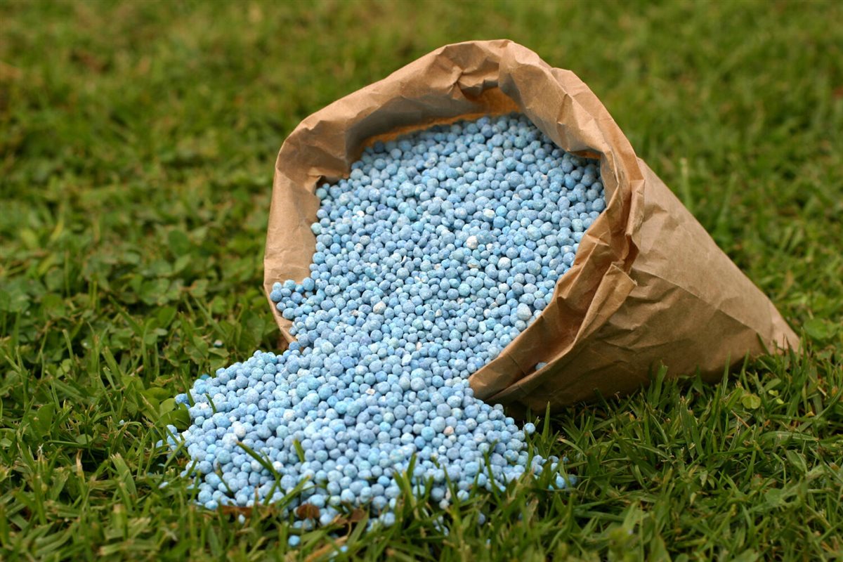 <strong>أسعار الأسمدة اليوم، فيتو</strong>