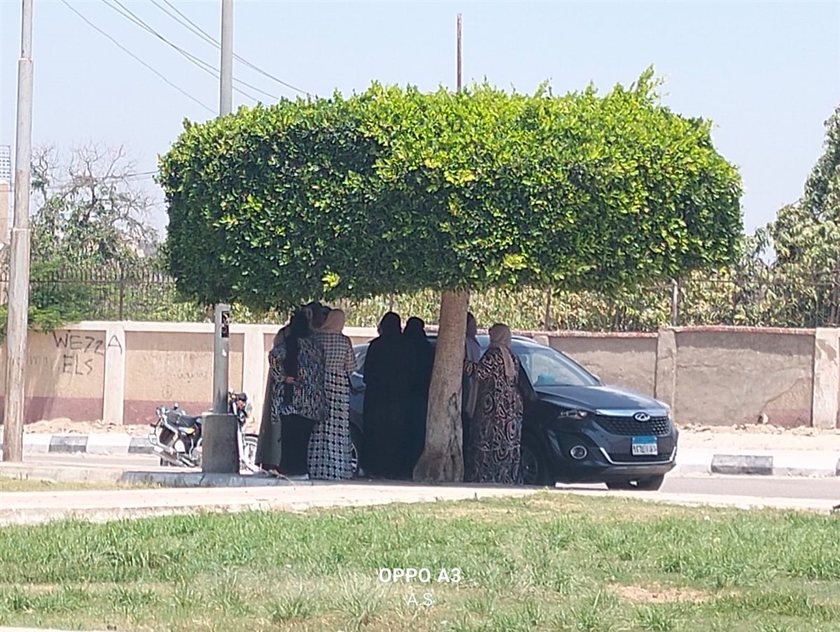 الأمهات خلال انتظار ابنائهن، فيتو