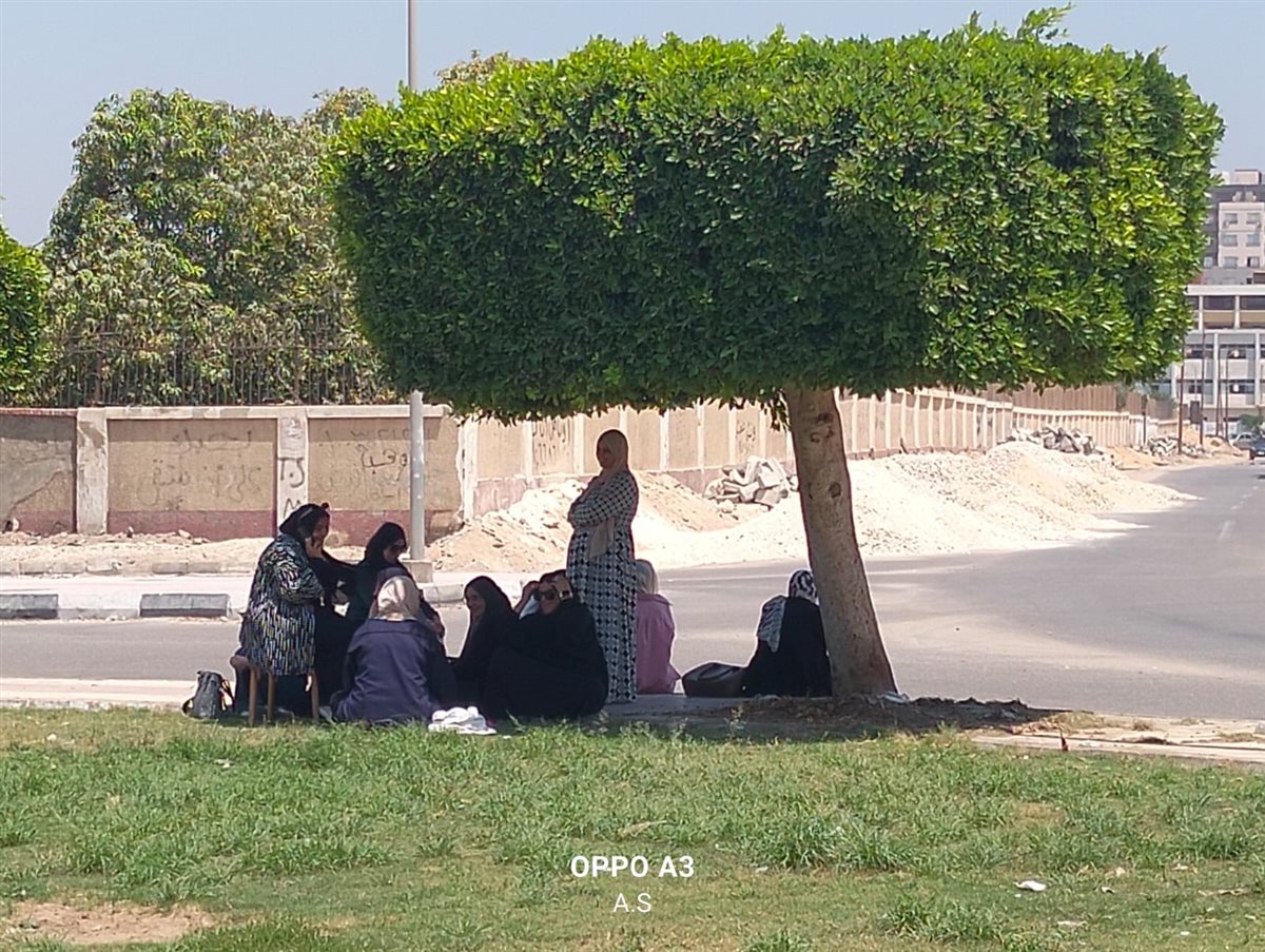 الأمهات خلال انتظار ابنائهن، فيتو