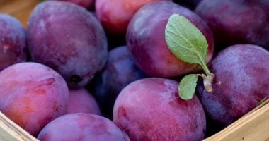 فوائد البرقوق الأحمر