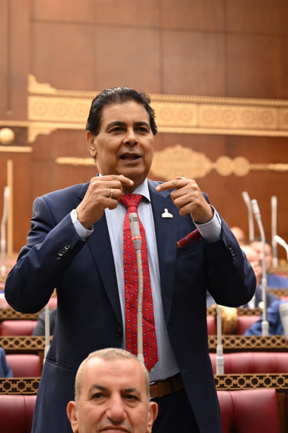 النائب أبو النجا المحرزي