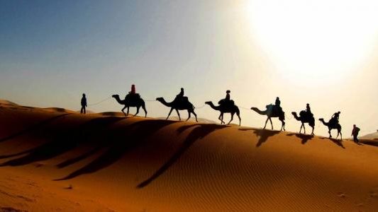 ومضات العناية الإلهية، 10 مشاهد من هجرة الرسول الكريم إلى المدينة المنورة
