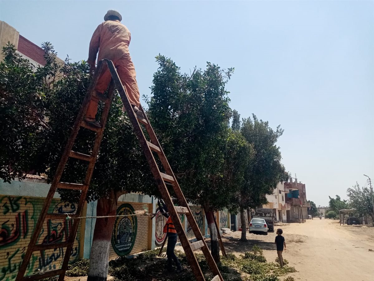 جانب من أعمال التطوير، فيتو