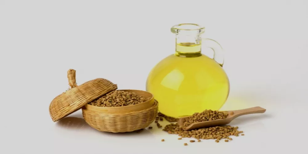 فوائد زيت الحلبة&nbsp;