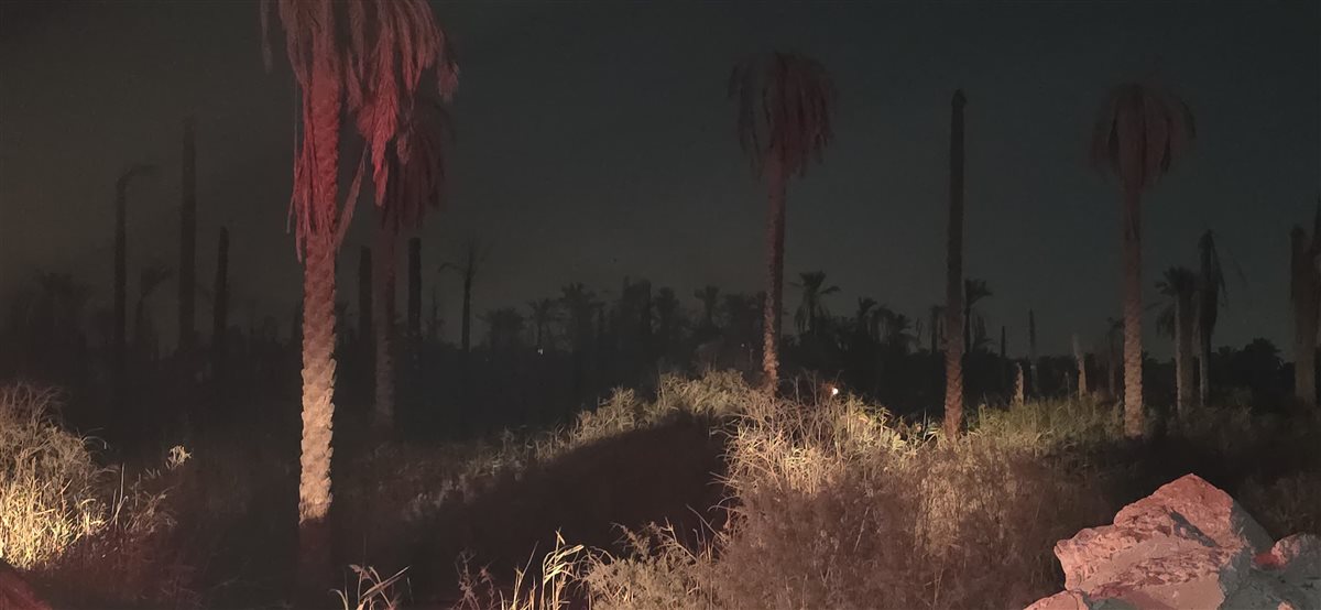 محافظ القليوبية ومدير الامن في حريق الخانكة،فيتو&nbsp;