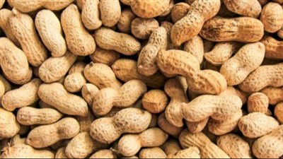 فوائد الفول السوداني