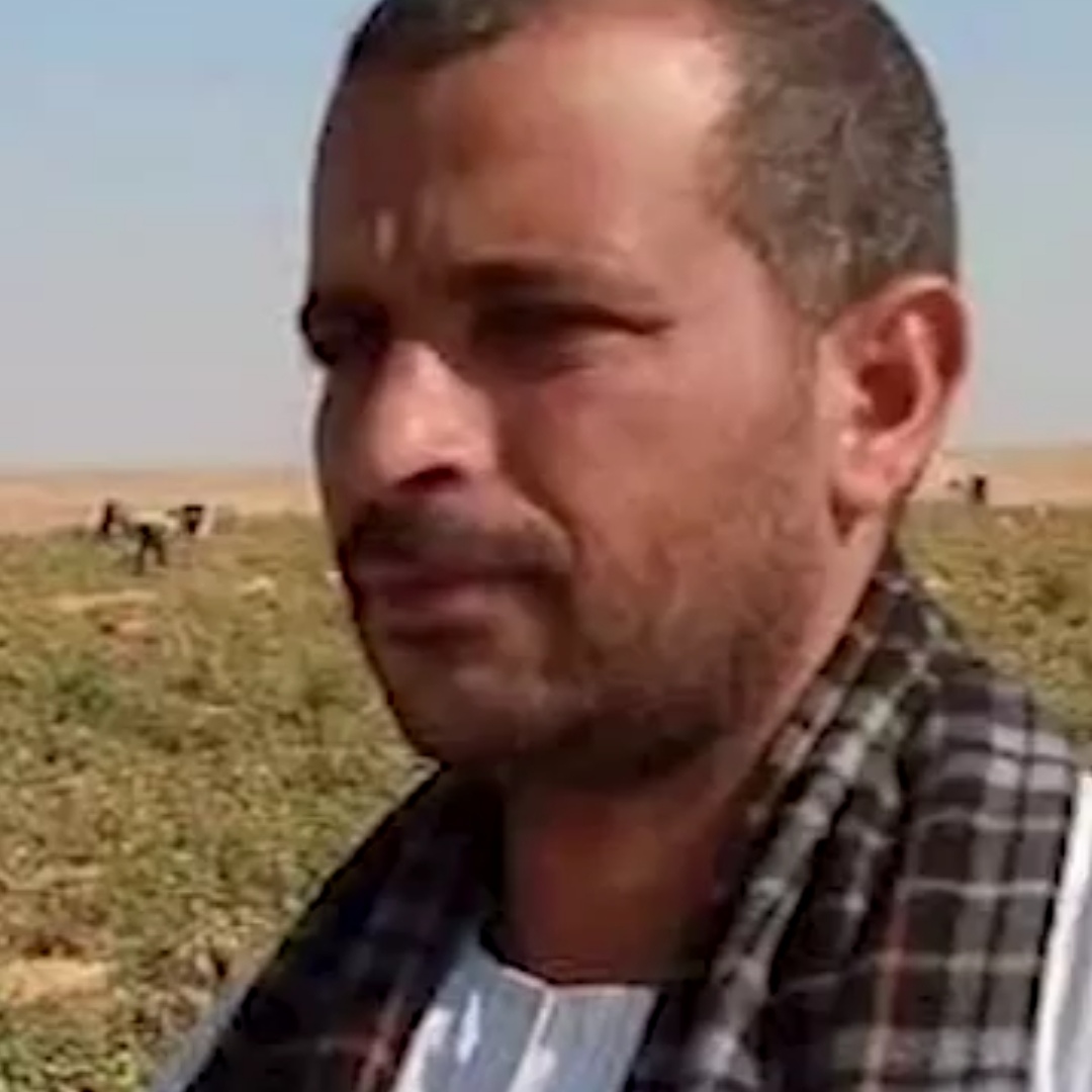 والد أطفال دلجا، فيتو&nbsp;