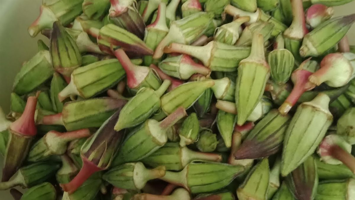 فوائد البامية للصحة&nbsp;