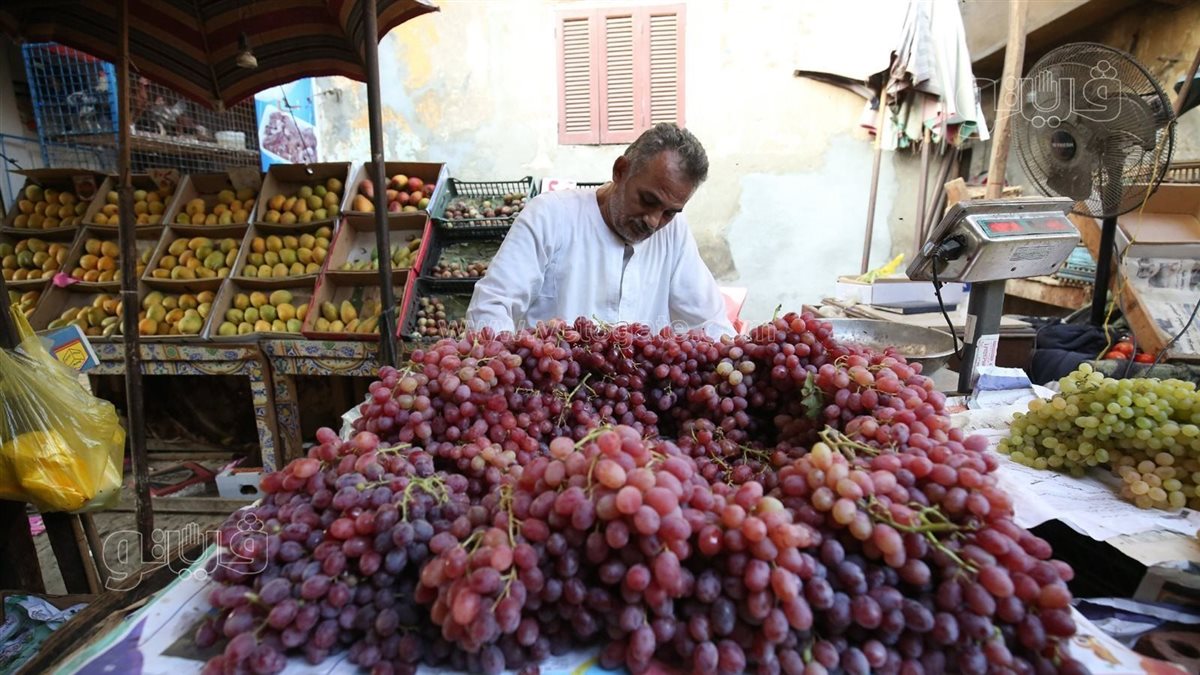 <strong>سعر الفاكهة</strong>