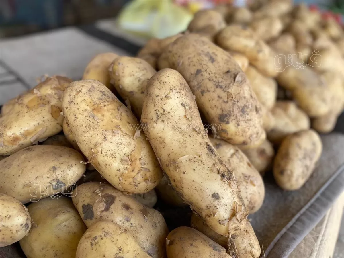 أسعار البطاطس