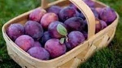 فوائد البرقوق للصحة&nbsp;