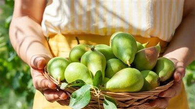 فوائد الكمثرى الصحية&nbsp;