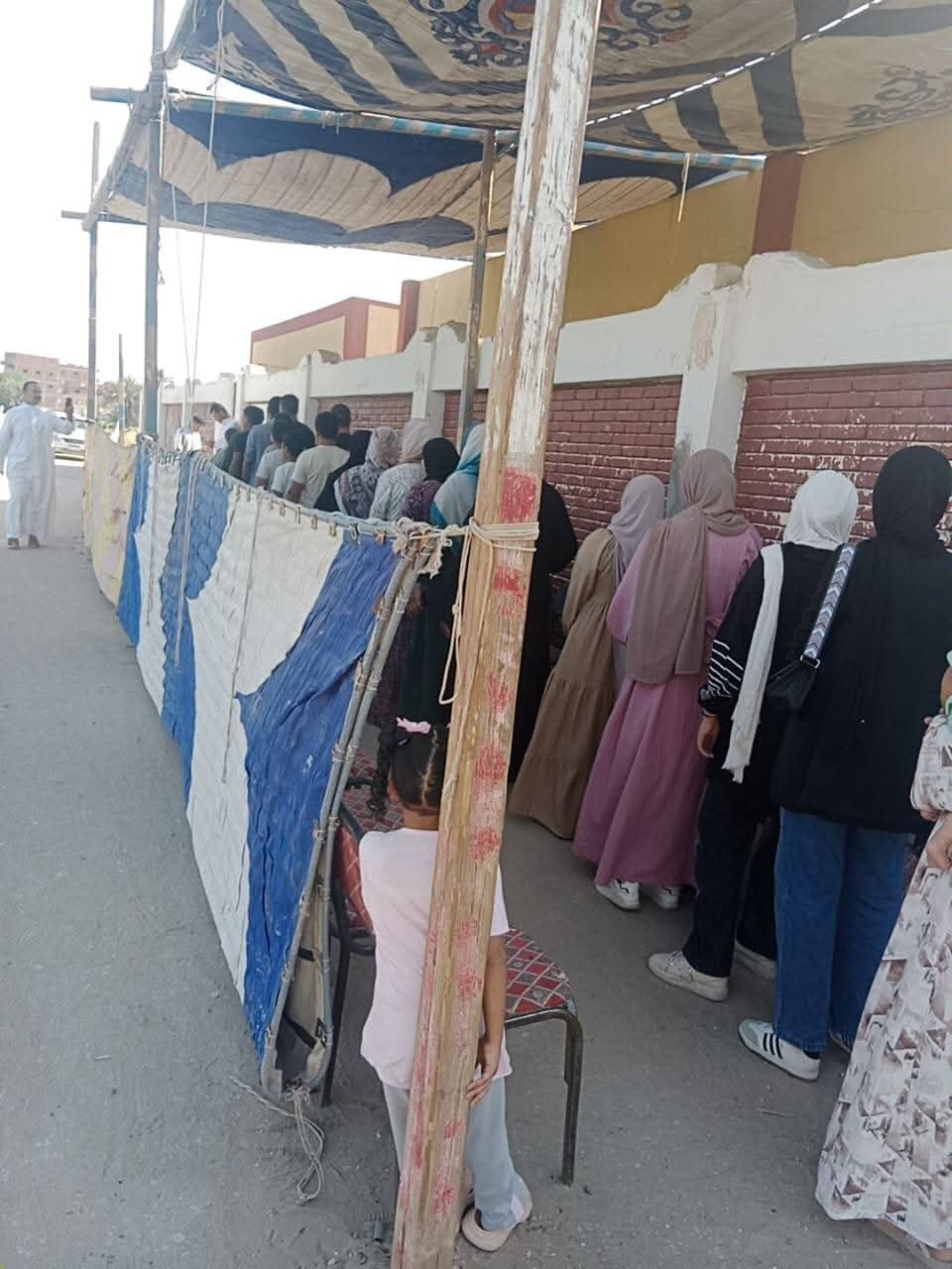 جانب من عمليات التصويت بلجان الإسماعيلية، فيتو