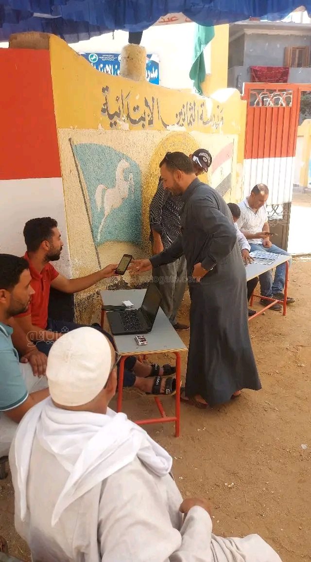 انتخابات مجلس الشيوخ،فيتو