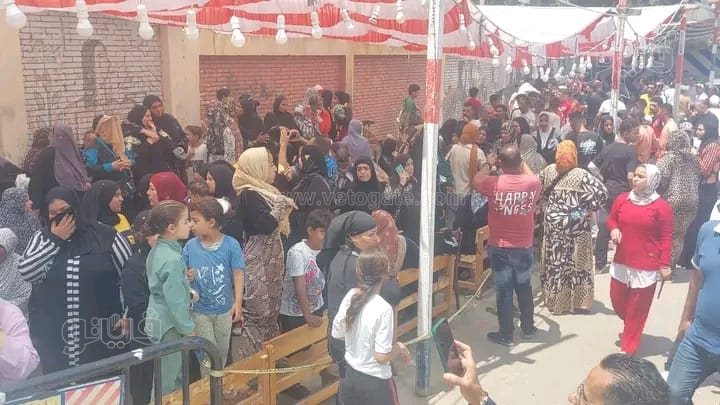 إنتخابات مجلس الشيوخ ببورسعيد، فيتو&nbsp;