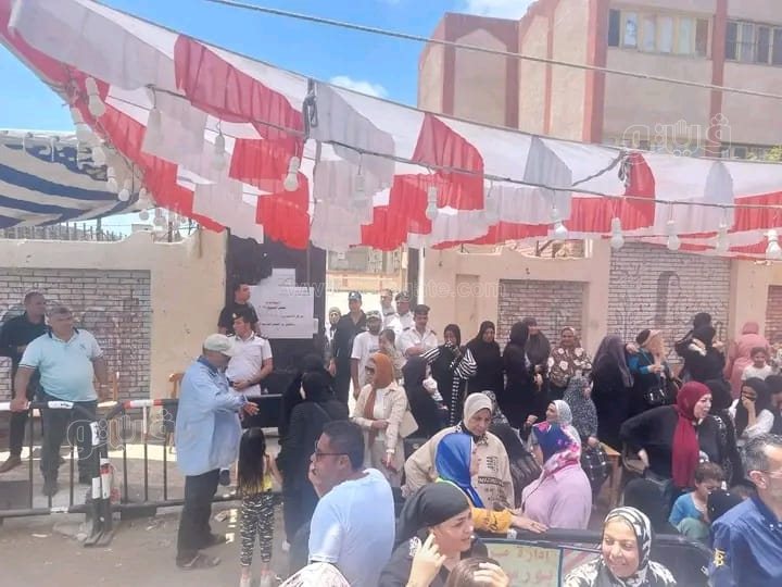 انتخابات مجلس الشيوخ ببورسعيد، فيتو&nbsp;