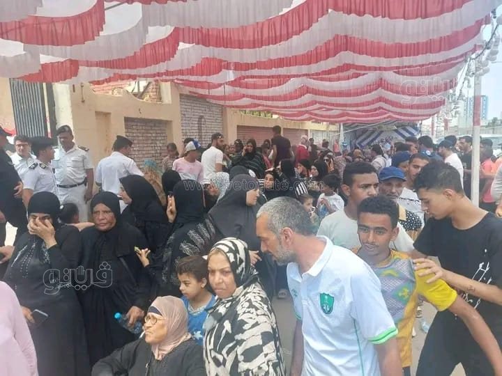 انتخابات مجلس الشيوخ ببورسعيد، فيتو&nbsp;