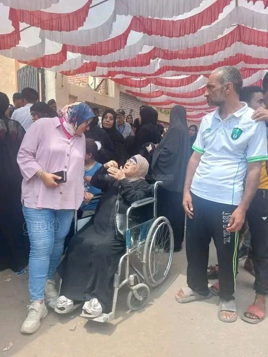 انتخابات مجلس الشيوخ ببورسعيد، فيتو&nbsp;