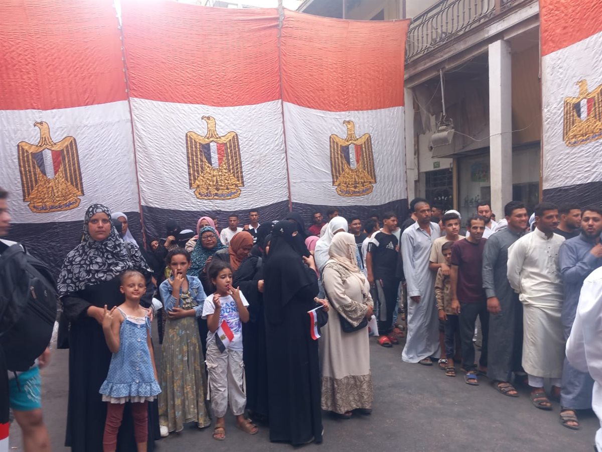 جانب من الانتخابات، فيتو&nbsp;