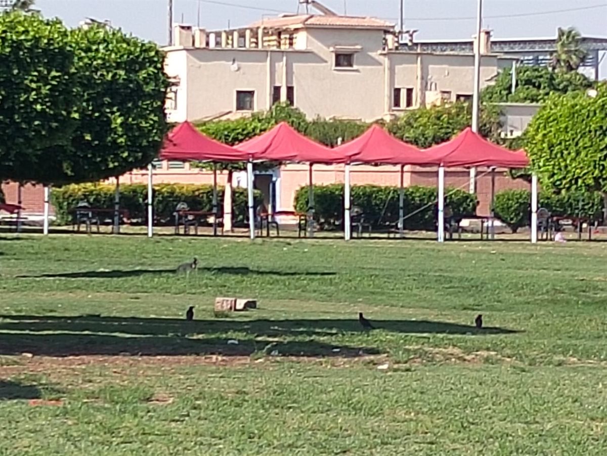 جانب من الاستعدادات، فيتو