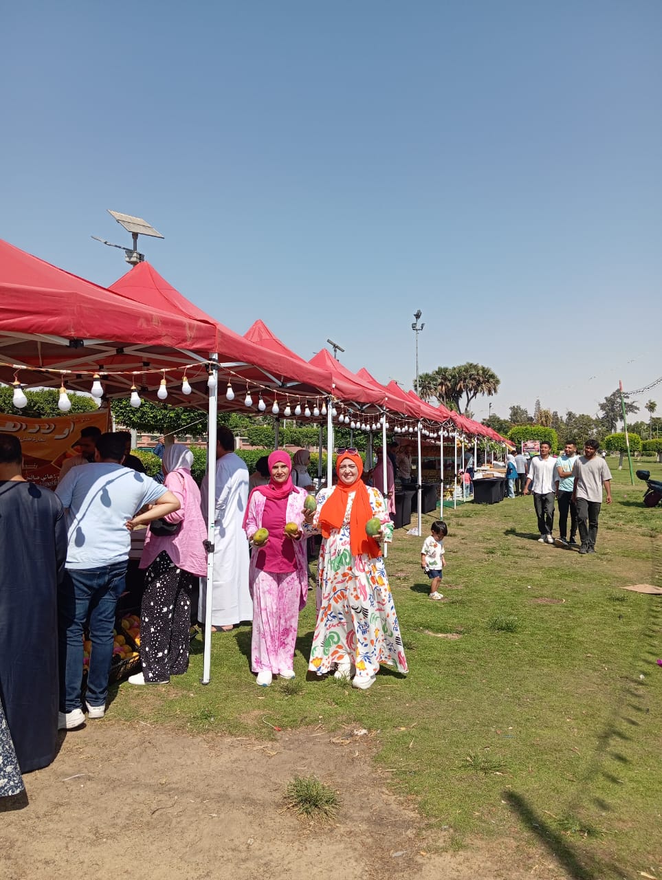 مهرجان المانجو بالإسماعيلية، فيتو