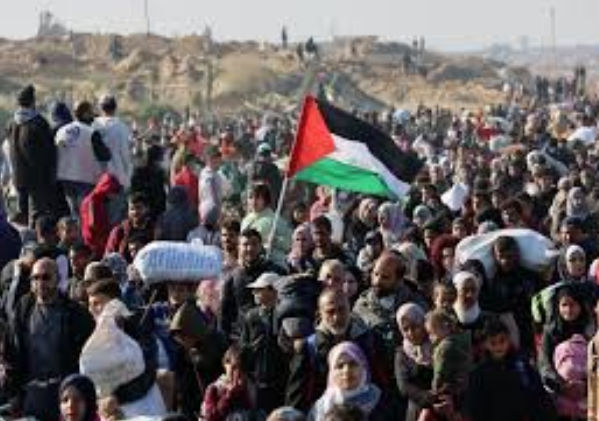 مصر ترفض حملات تهجير أهل غزة، فيتو