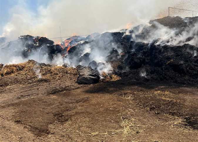 حريق بمزرعة مواشي بالقليويية، فيتو