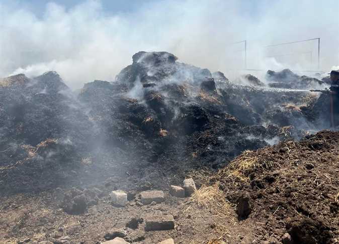 حريق بمزرعة مواشي بالقليويية، فيتو