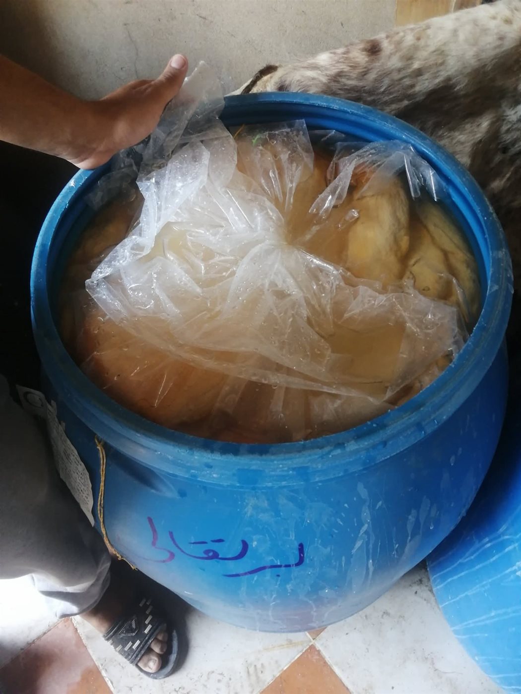 ضبط 3.7 طن منتجات حيوانية مجهولة المصدر بالقليوبية،فيتو