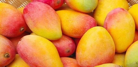 <strong>سعر المانجو اليوم في سوق العبور، فيتو</strong>