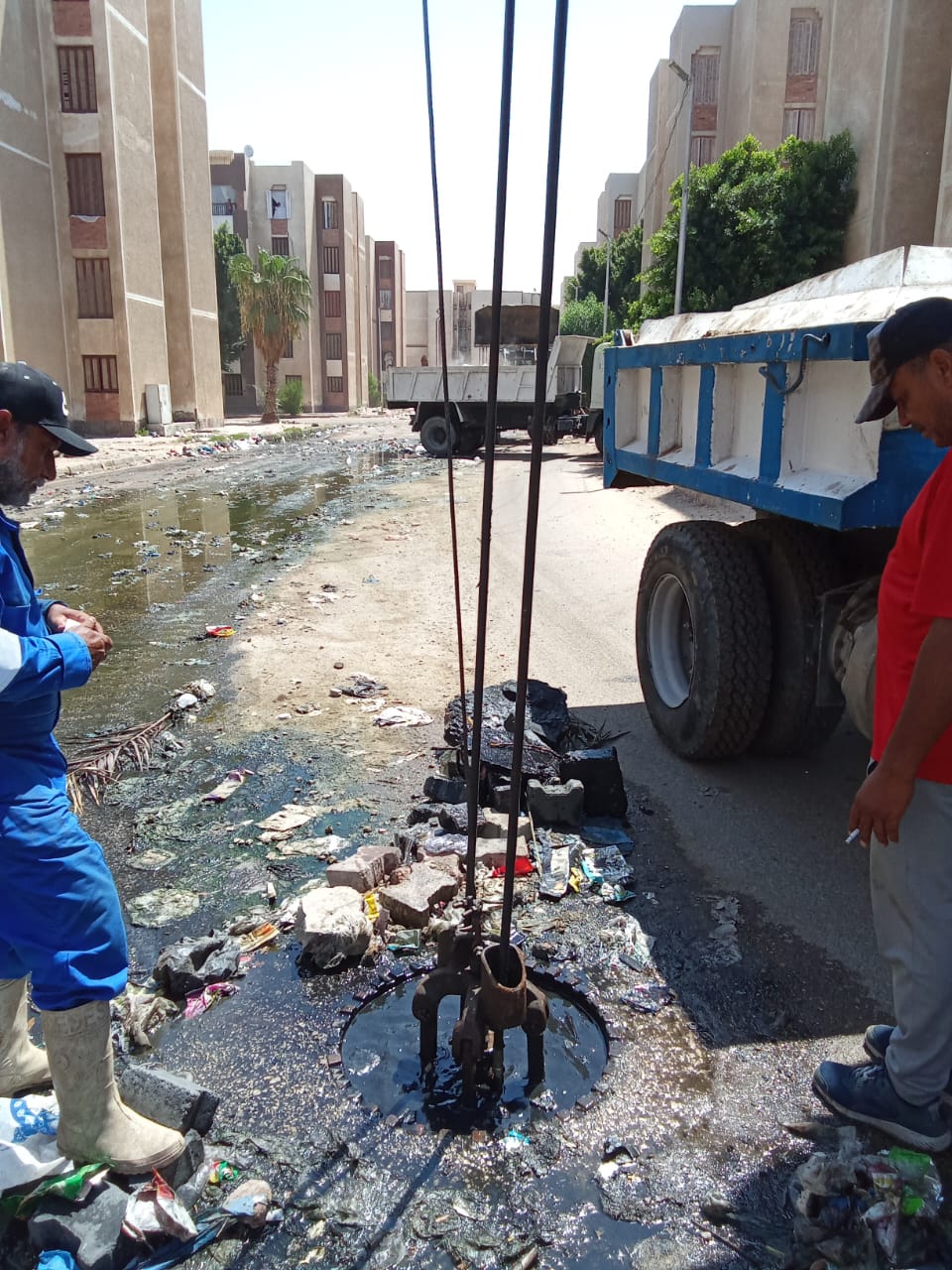 جانب من أعمال التطهير، فيتو