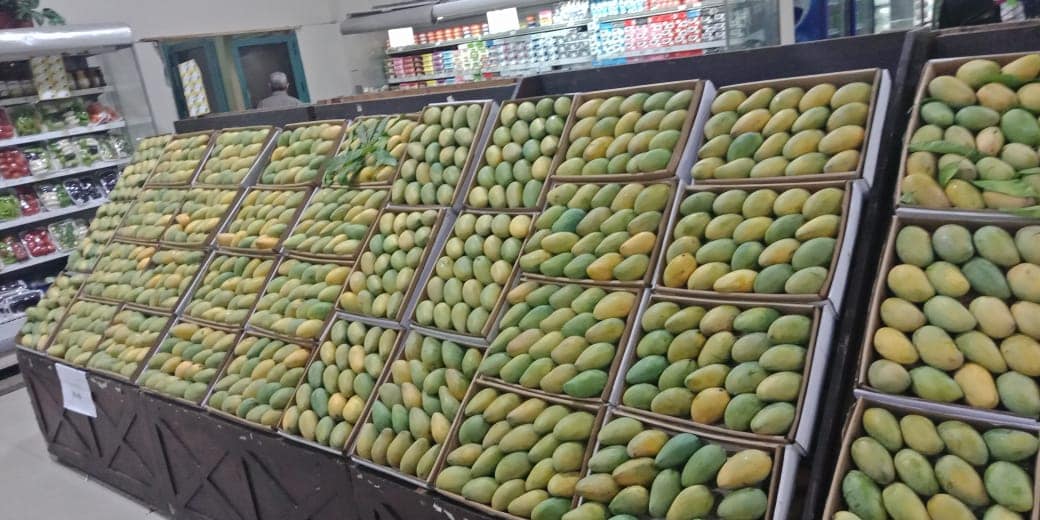سعر المانجو اليوم في سوق العبور، فيتو