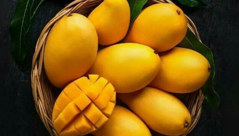 سعر المانجو اليوم في سوق العبور، فيتو