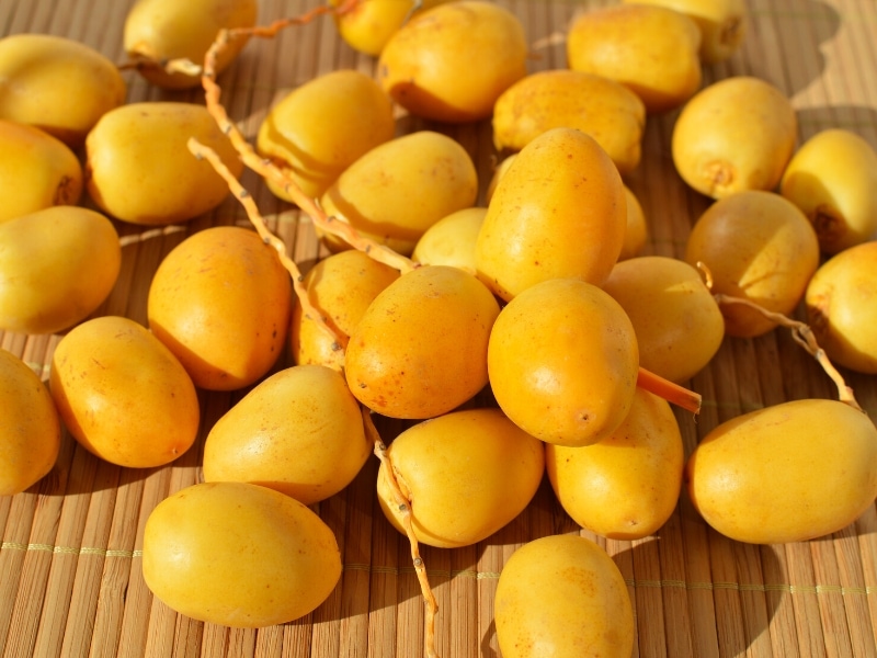 البلح الاصفر وفوائده