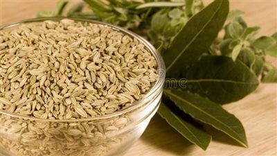 فوائد الشمر للصحة&nbsp;