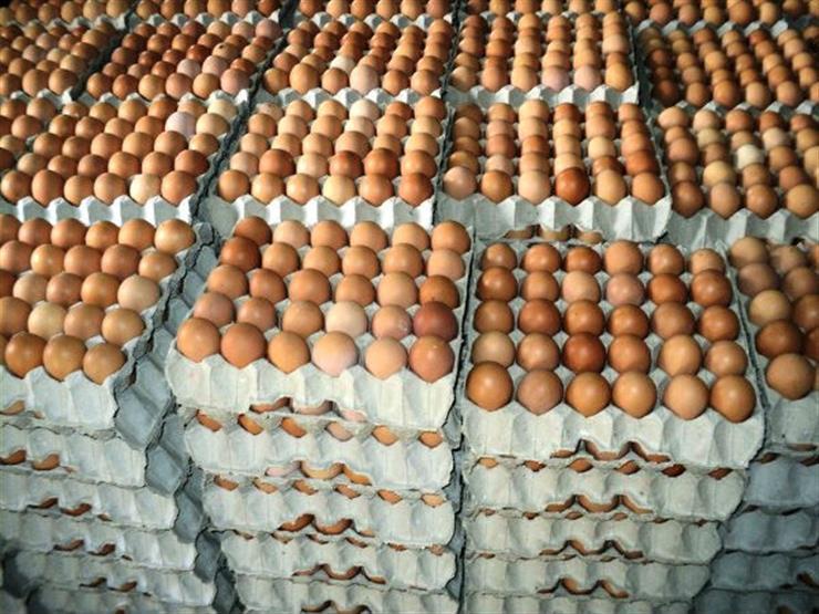 سعر كرتونة البيض اليوم الجمعة في بورصة الدواجن، فيتو
