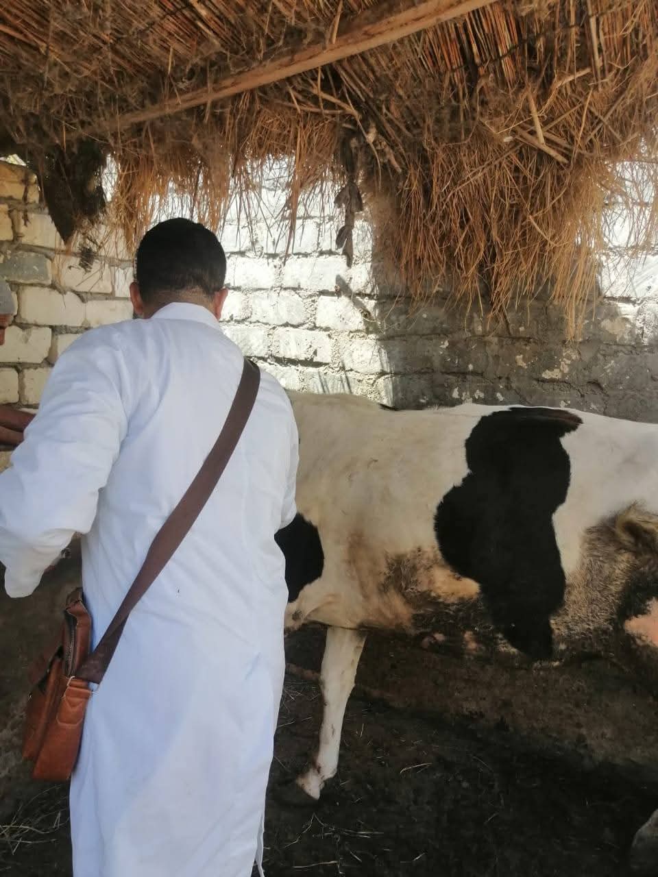جانب من الحملات، فيتو&nbsp;