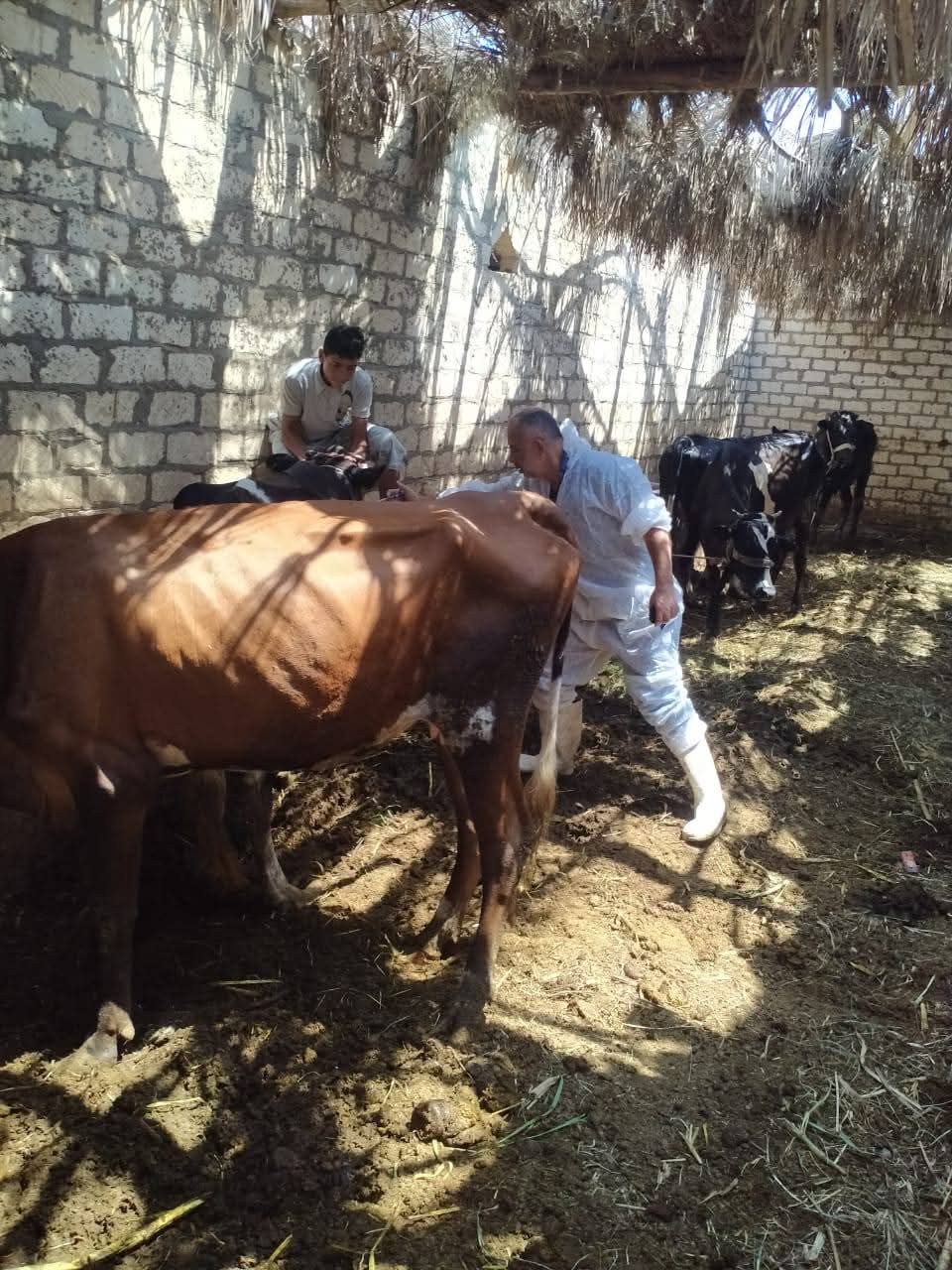 جانب من الحملات، فيتو&nbsp;
